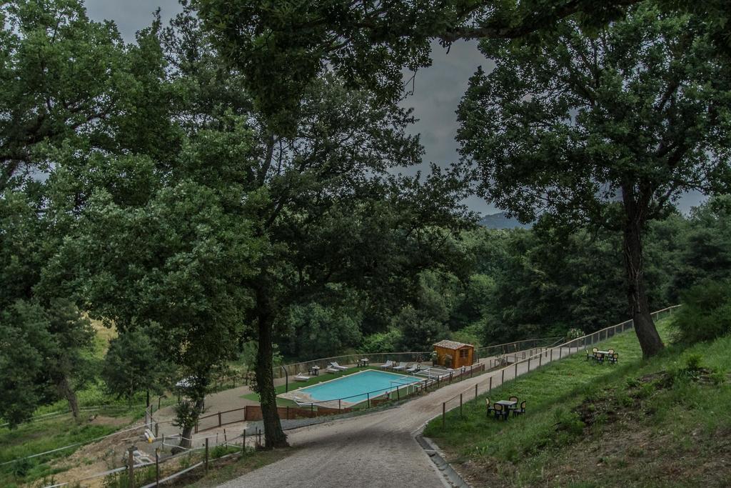 Pensjonat Agriturismo Specchio Del Lago Montefiascone Zewnętrze zdjęcie