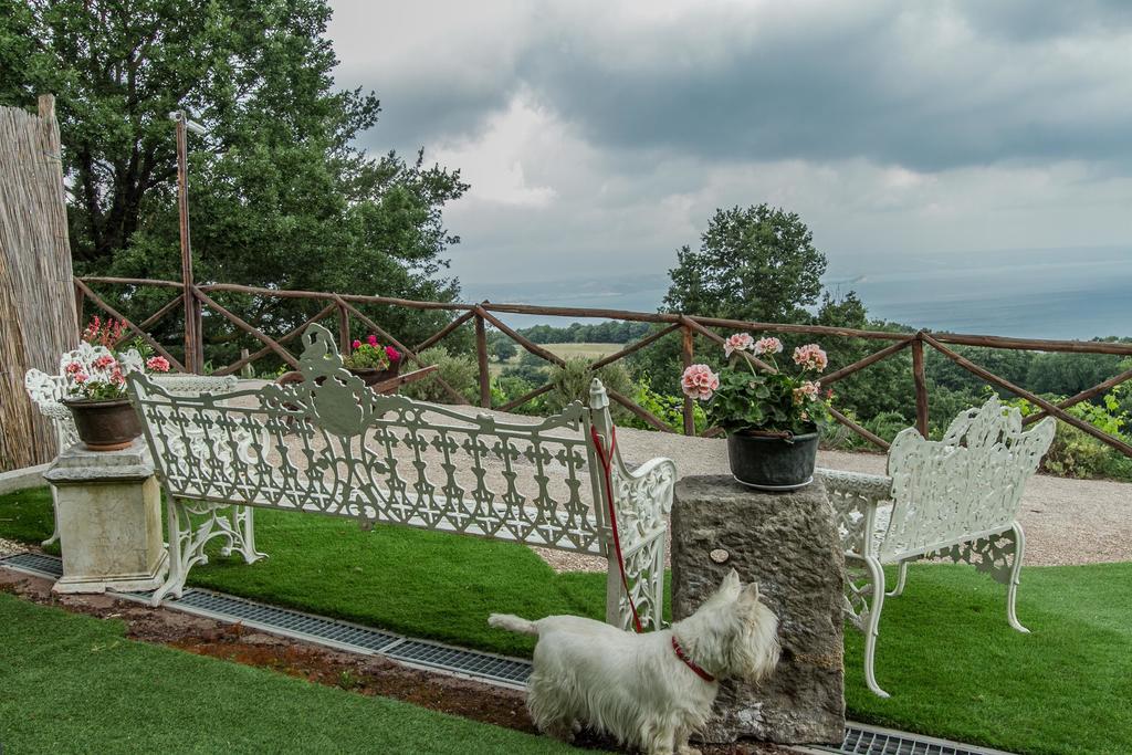 Pensjonat Agriturismo Specchio Del Lago Montefiascone Zewnętrze zdjęcie