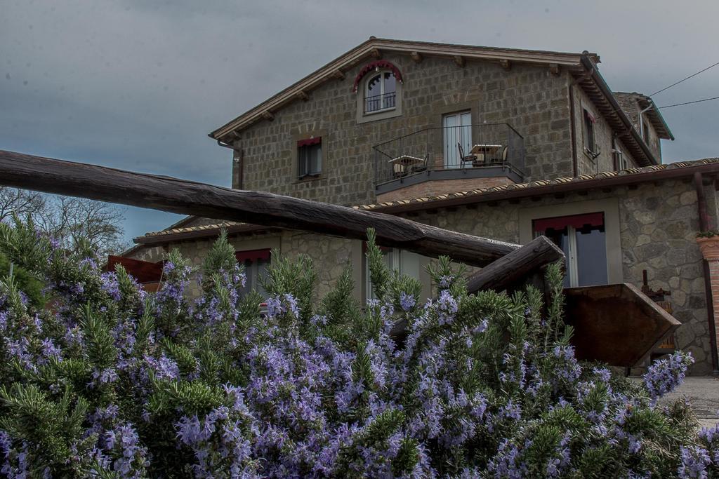 Pensjonat Agriturismo Specchio Del Lago Montefiascone Zewnętrze zdjęcie