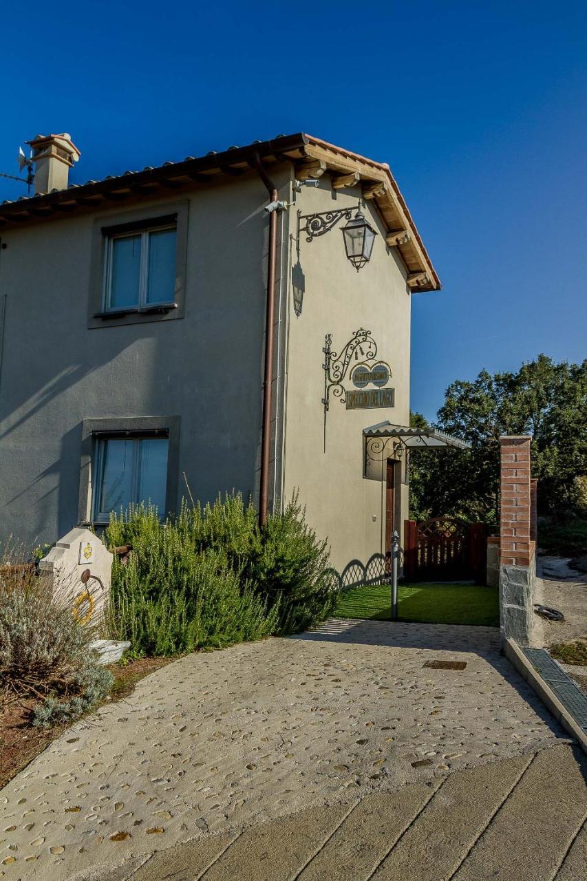 Agriturismo Specchio Del Lago Montefiascone Zewnętrze zdjęcie